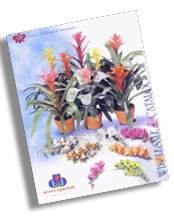 catalog